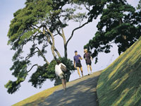sydneybotanicgardens.jpg